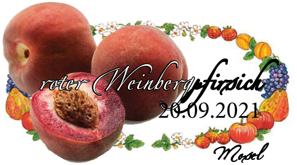 roter Weinbergpfirsich